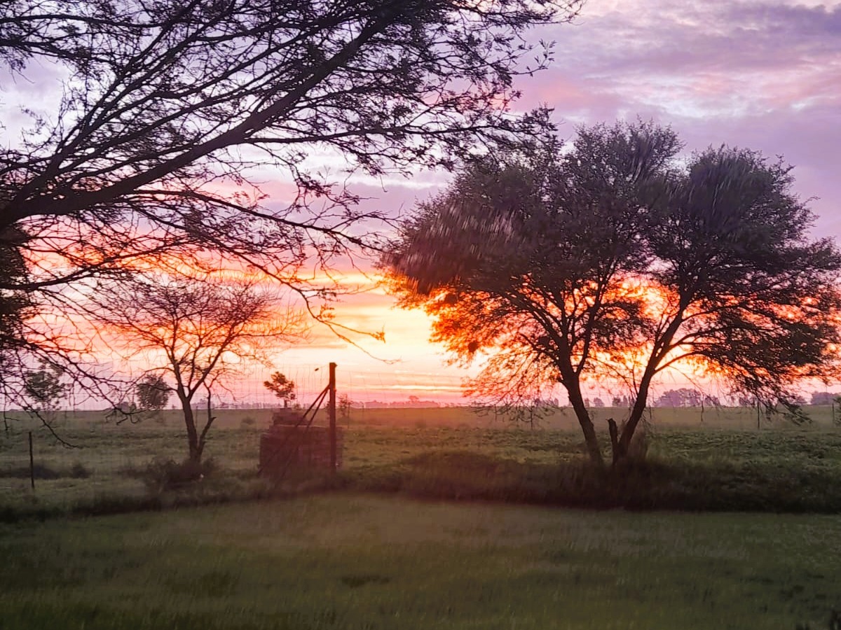 sunset4